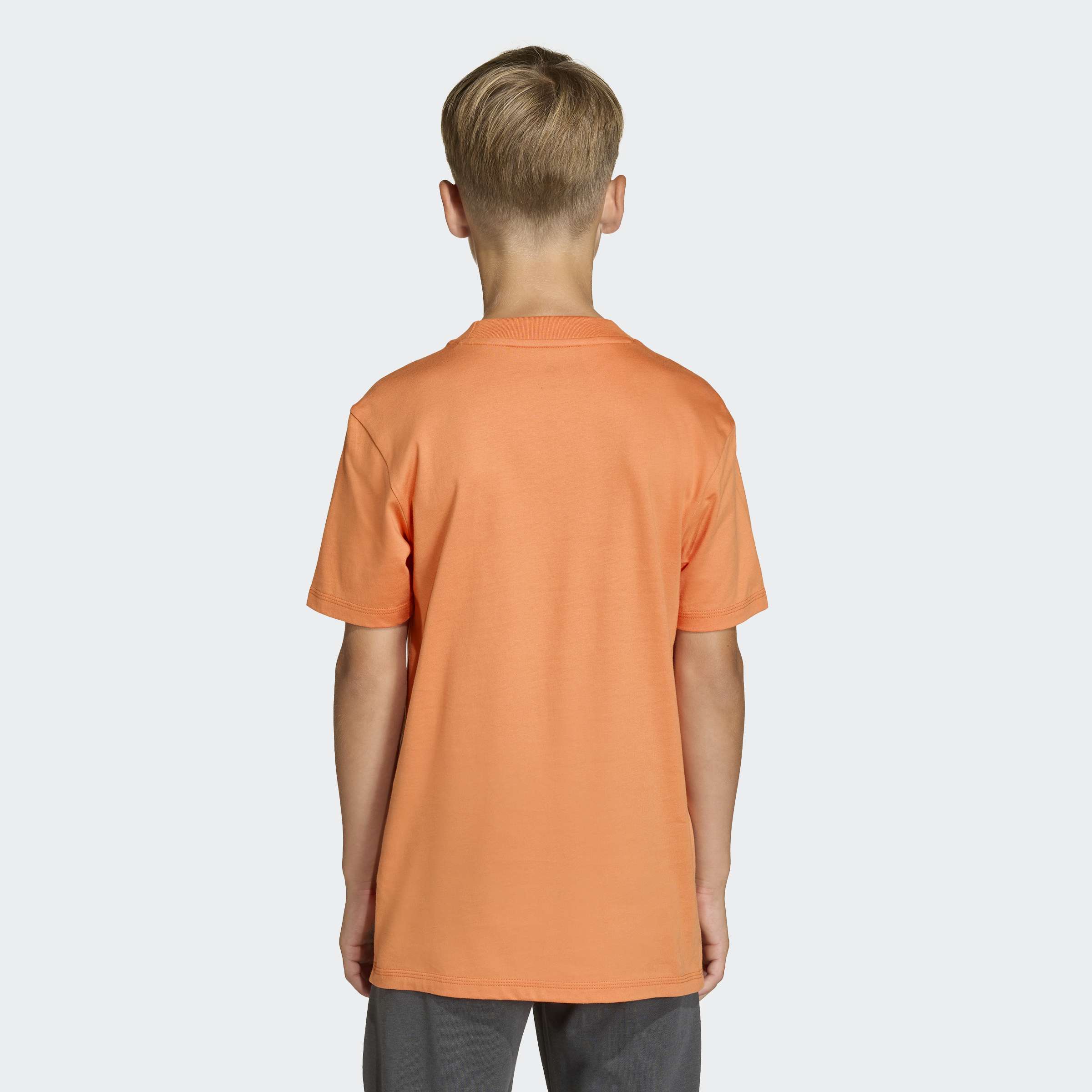 KD6049_3_APPAREL_On Model_Back View_grey