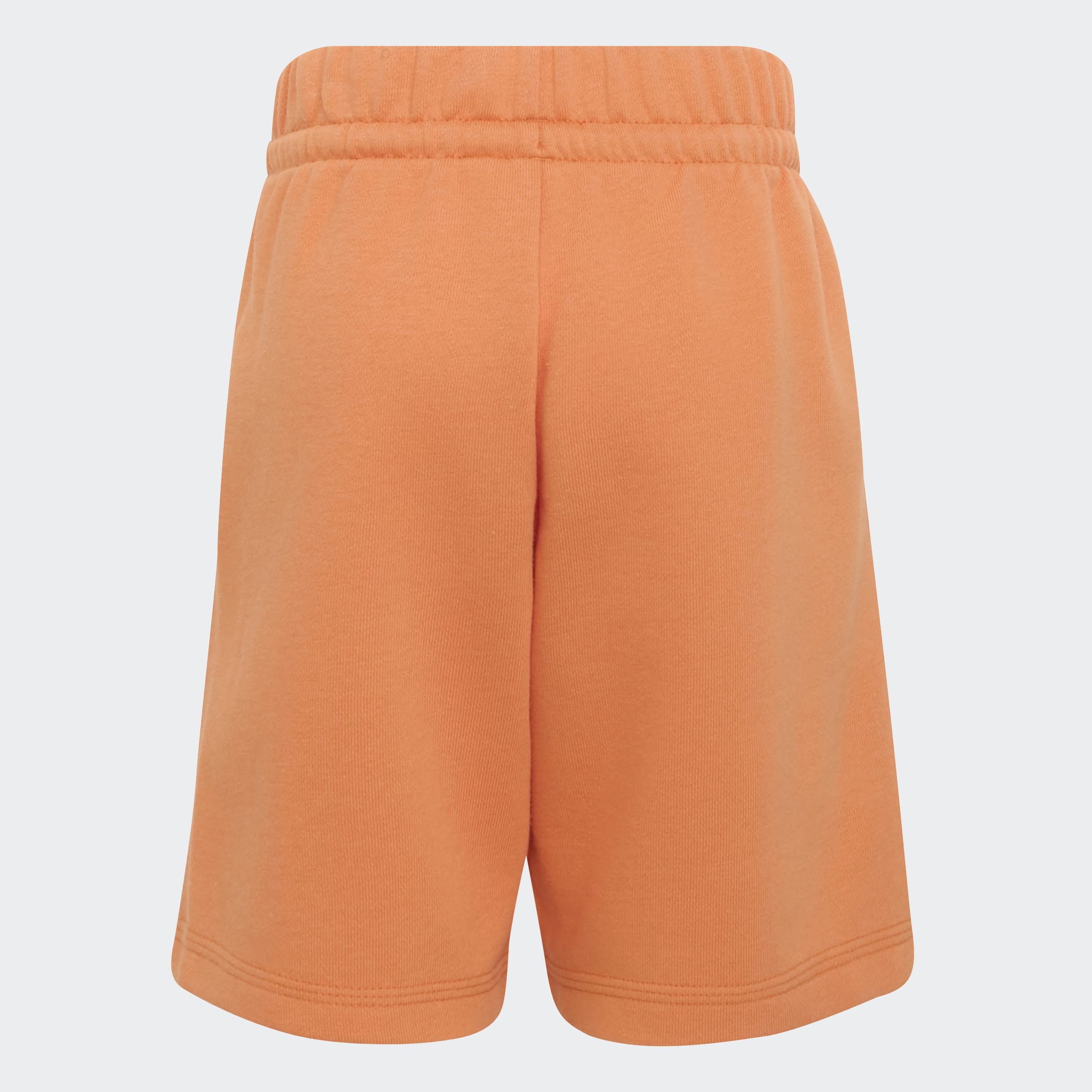 KE0860_5_APPAREL_Photography_Back Bottom Part View_grey